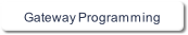 Gateway Programming.